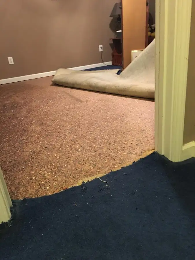 Carpet pad removal revealing water damage during Drying & Dehumidification in Lacy-Lakeview