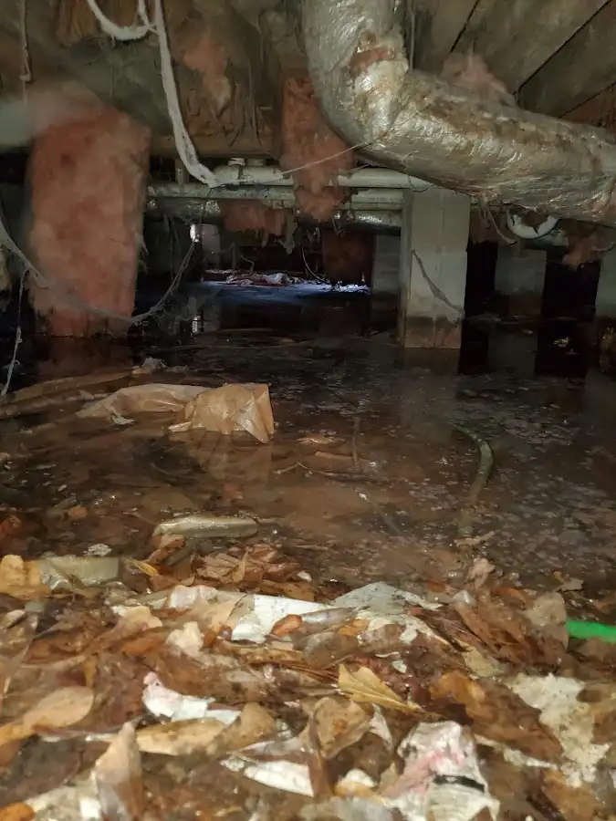 Crawl space flood assessment for Leak Detection & Repair in Lacy-Lakeview