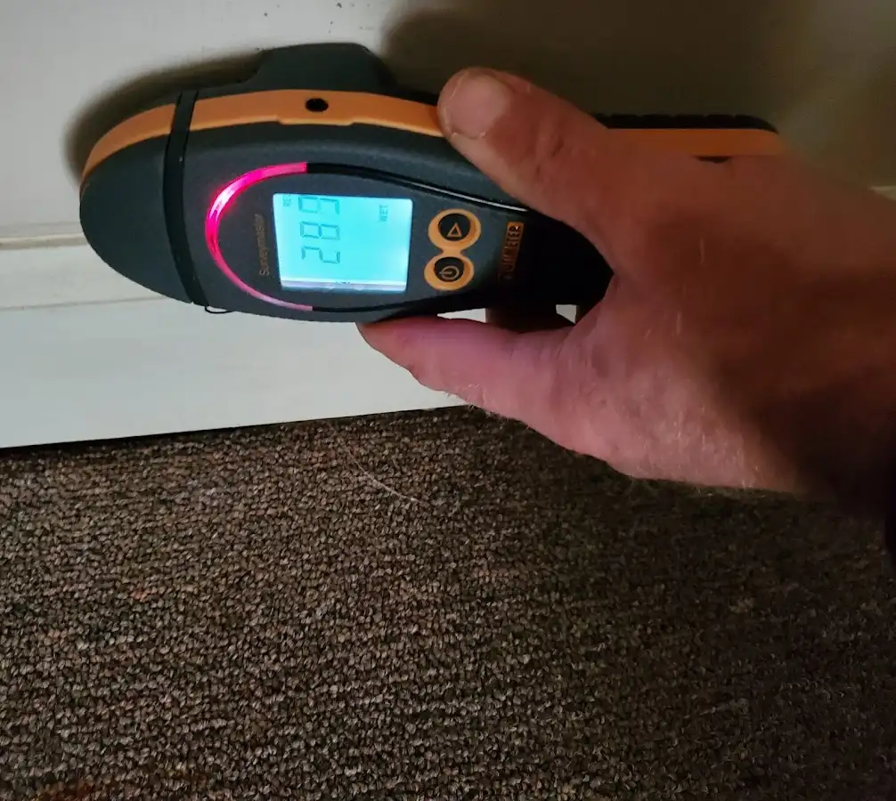 Moisture detection at baseboard during Burst Pipe Cleanup in Lacy-Lakeview
